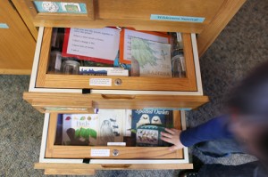 Olympic National Park ranger station with kids