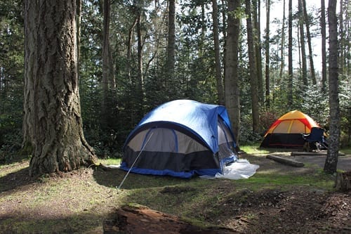 camping with kids in washington state