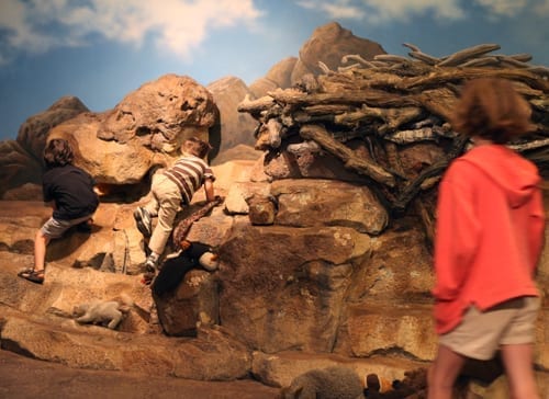 Things to do with kids in Bend Oregon, High Desert Museum
