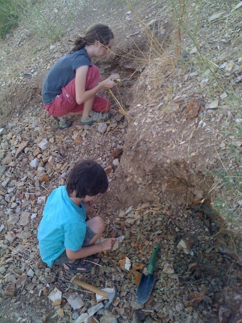 Digging for fossils with kids in Fossil