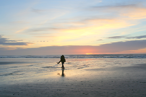 cannon beach with kids