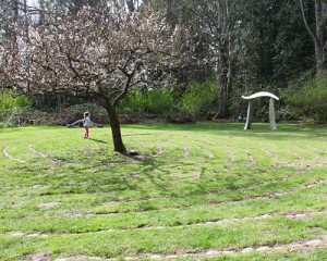 webster woods art park with kids in Port Angeles Washington