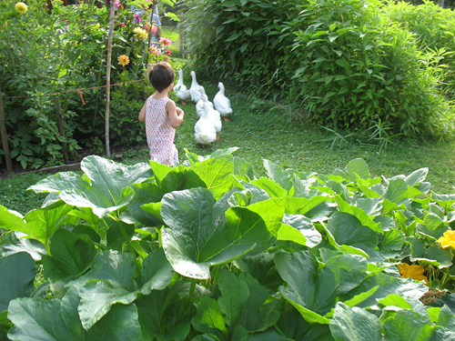 Family farm stays in BC, Washington and Oregon.