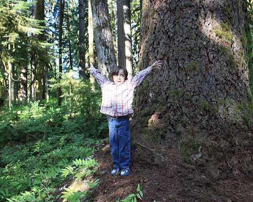 family hikes near portland