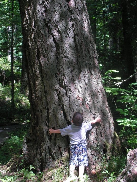 Hiking with kids near vancouver british columbia