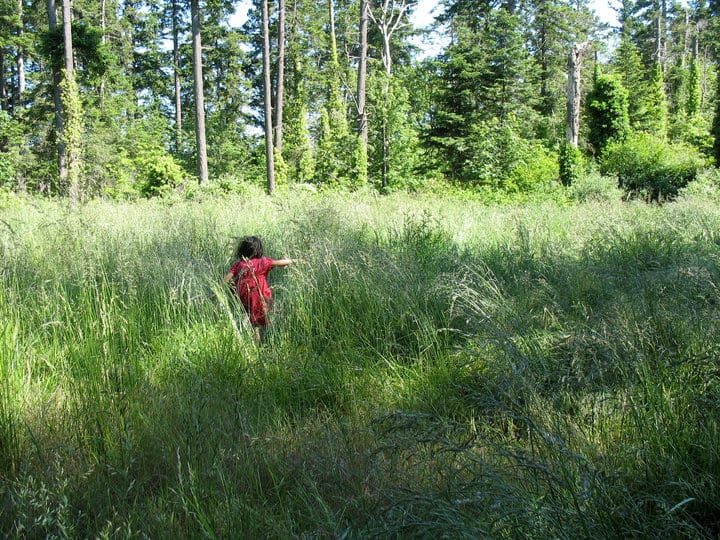 Mystic Vale: A great hike for kids near Victoria BC