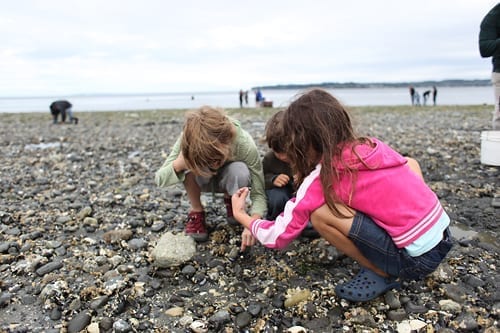birchbay5 Tidepooling at Birch Bay