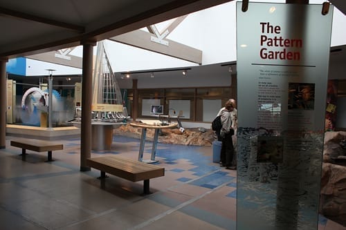 Newport1 Hatfield Marine Science Center a fun thing to do in Newport with kids