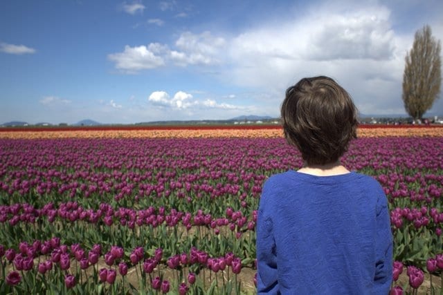 taking kids to the tulip fields