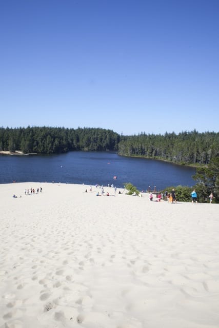Oregon sand dune