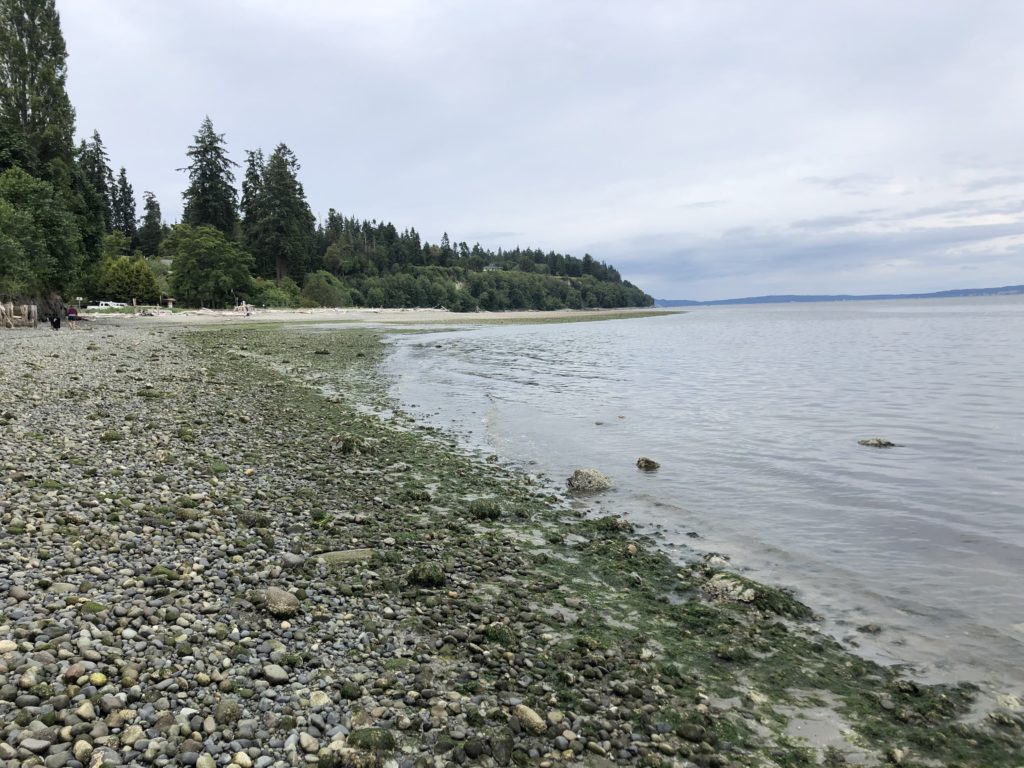 A beach on the Kitsap Peninsula with rocks, saltwater and firs.
